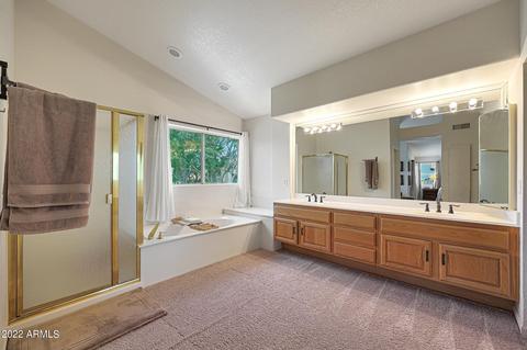 3632 E Park Ave, Phoenix, AZ 85044 photo 39
