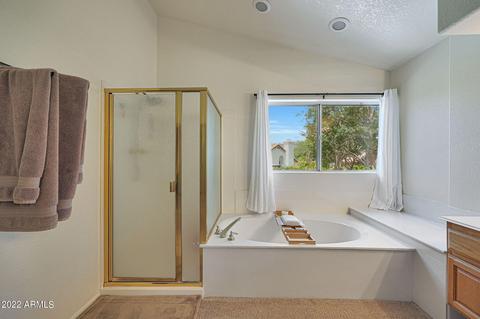 3632 E Park Ave, Phoenix, AZ 85044 photo 41