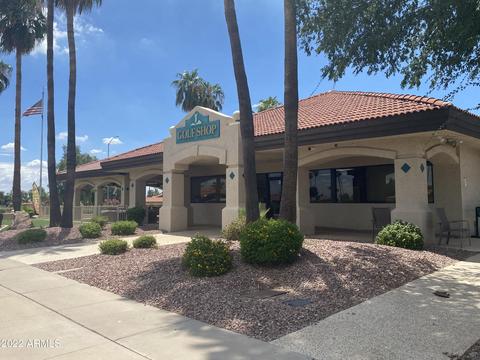 7937 E Medina Ave, Mesa, AZ 85209 photo 55
