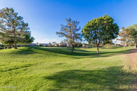 9328 E Milagro Ave, Mesa, AZ 85209 photo 54