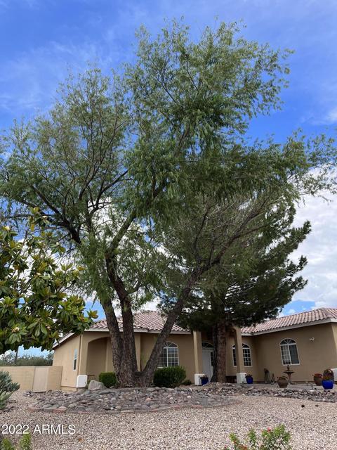 2700 E 8th St, Douglas, AZ 85607 photo 32