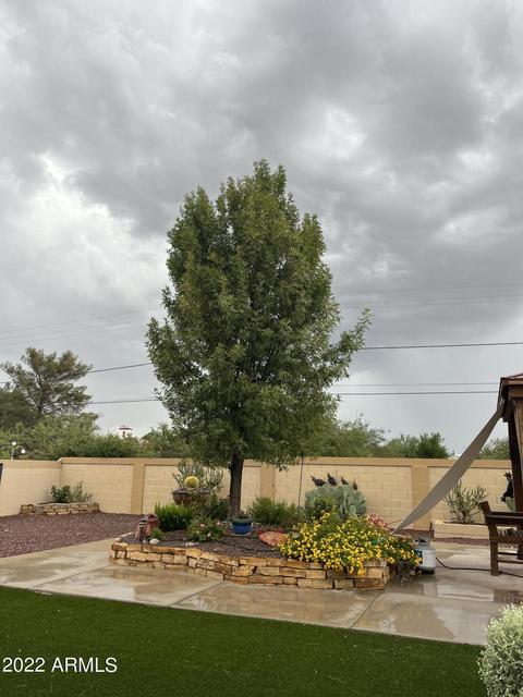 2700 E 8th St, Douglas, AZ 85607 photo 30