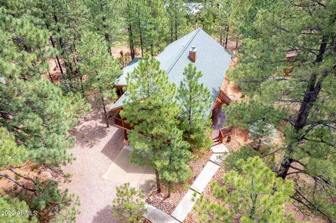 3337 Pine Ridge Dr, Overgaard, AZ 85933 photo 28