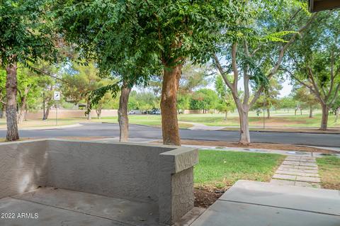 3617 E Bruce Ave, Gilbert, AZ 85234 photo 5