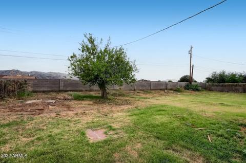 1031 E Gary Way, Phoenix, AZ 85042 photo 8