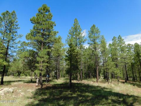 2465 San Juan Dr #177, Happy Jack, AZ 86024
