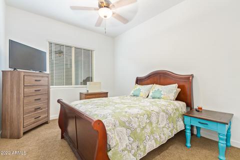 9746 E Tiburon Ave, Mesa, AZ 85212 photo 13