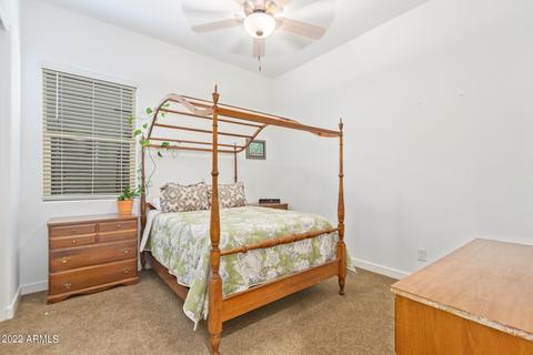 9746 E Tiburon Ave, Mesa, AZ 85212 photo 14