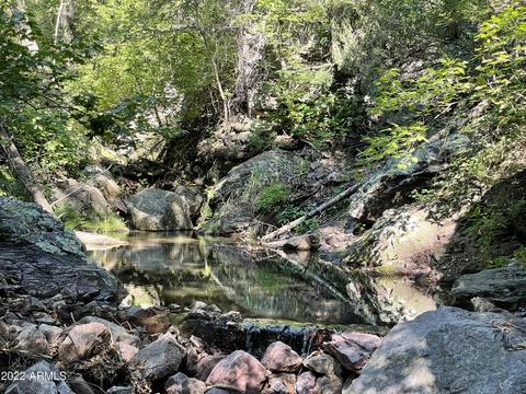 4835 N Bear Flat Rd, Payson, AZ 85541 photo 5