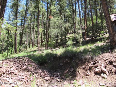4835 N Bear Flat Rd, Payson, AZ 85541 photo 34