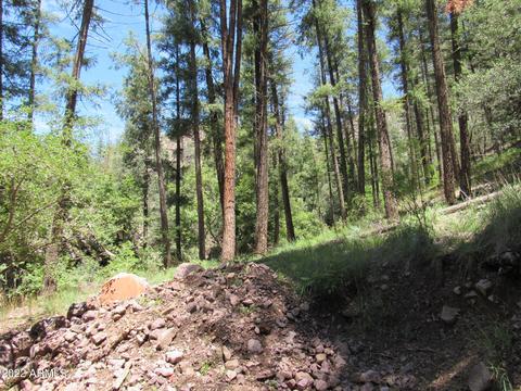 4835 N Bear Flat Rd, Payson, AZ 85541 photo 35