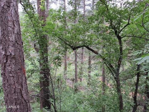 4835 N Bear Flat Rd, Payson, AZ 85541 photo 32