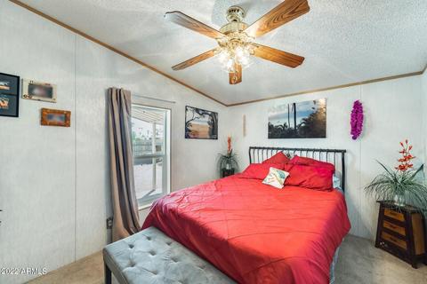 3046 W Greasewood St, Apache Junction, AZ 85120 photo 9