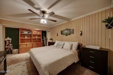 1117 E 3rd St, Mesa, AZ 85203 photo 25
