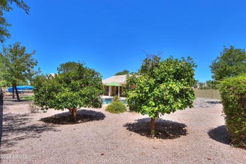 2509 E Drake St, Gilbert, AZ 85234 photo 46
