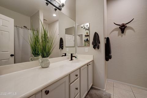 1520 E Constance Way, Phoenix, AZ 85042 photo 26