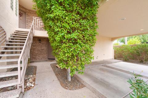 3235 E Camelback Rd #117, Phoenix, AZ 85018 photo 20