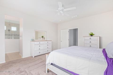 17543 W Hedgehog Pl, Surprise, AZ 85387 photo 14