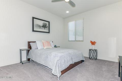 9650 E Thornbush Ave, Mesa, AZ 85212 photo 33