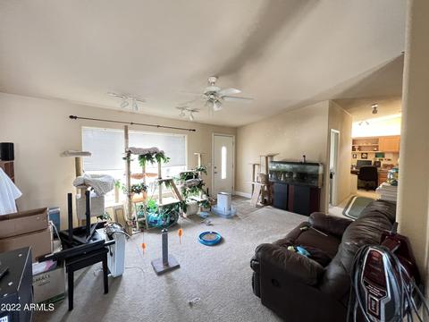 5485 E Jackrabbit Ln, Globe, AZ 85501 photo 47
