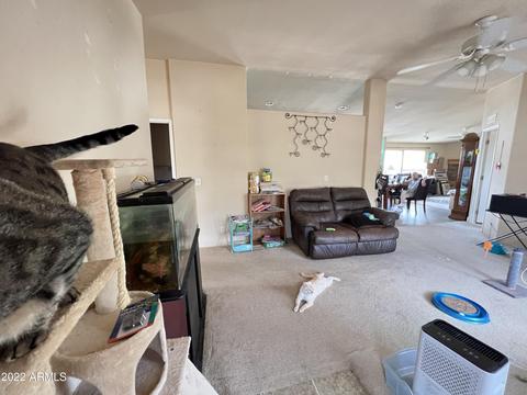 5485 E Jackrabbit Ln, Globe, AZ 85501 photo 48