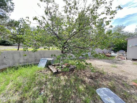 5485 E Jackrabbit Ln, Globe, AZ 85501 photo 77
