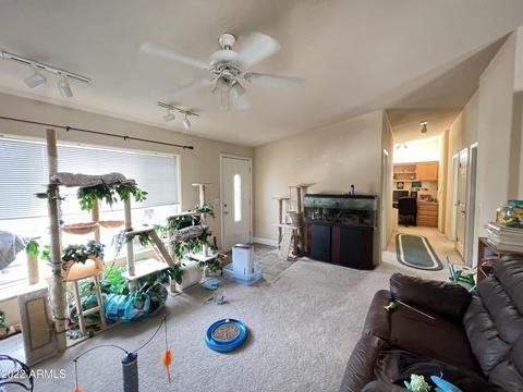 5485 E Jackrabbit Ln, Globe, AZ 85501 photo 45