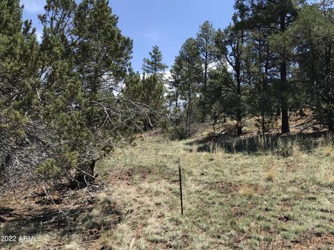 1830 E Prospect Ln, Williams, AZ 86046 photo 35