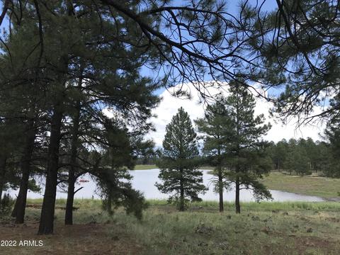 1830 E Prospect Ln, Williams, AZ 86046 photo 40