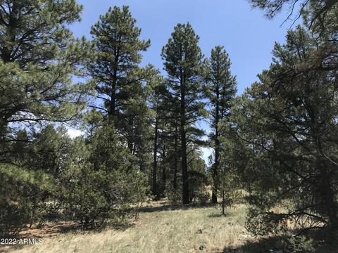 1830 E Prospect Ln, Williams, AZ 86046 photo 9