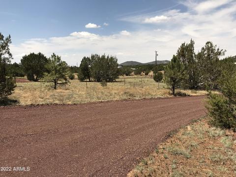 1830 E Prospect Ln, Williams, AZ 86046 photo 31