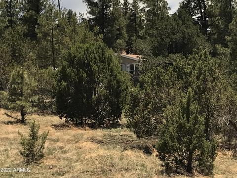 1830 E Prospect Ln, Williams, AZ 86046 photo 25