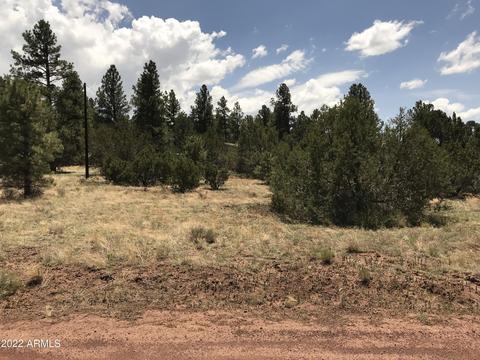 1830 E Prospect Ln, Williams, AZ 86046 photo 26