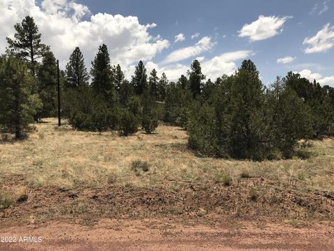 1830 E Prospect Ln, Williams, AZ 86046 photo 24