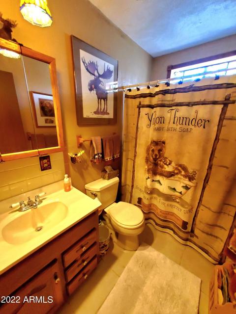 511 E Timber Dr, Payson, AZ 85541 photo 17