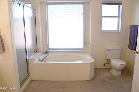 1234 E Sea Gull Dr, Gilbert, AZ 85234 photo 15