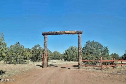 1550 W Java Dr, Ash Fork, AZ 86320 photo 5