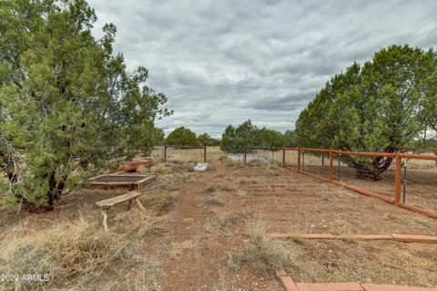 1550 W Java Dr, Ash Fork, AZ 86320 photo 64
