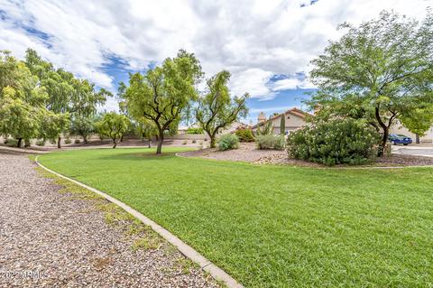 4302 E Chuckwalla Cyn, Phoenix, AZ 85044 photo 43