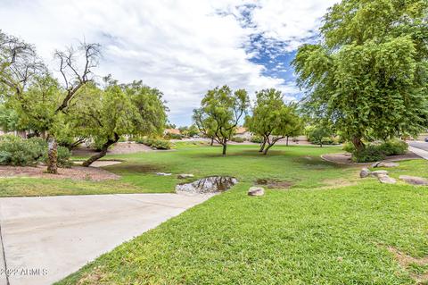 4302 E Chuckwalla Cyn, Phoenix, AZ 85044 photo 34