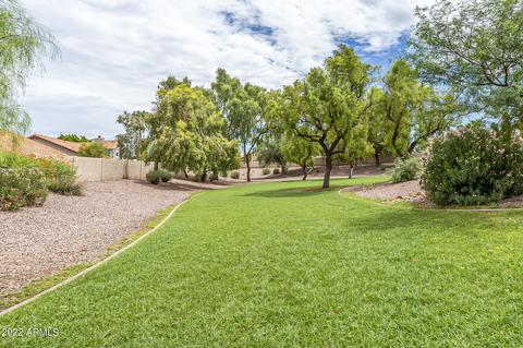 4302 E Chuckwalla Cyn, Phoenix, AZ 85044 photo 42