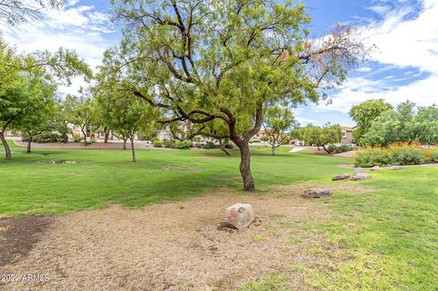 4302 E Chuckwalla Cyn, Phoenix, AZ 85044 photo 35