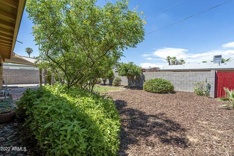 2314 E Sylvia St, Phoenix, AZ 85022 photo 23