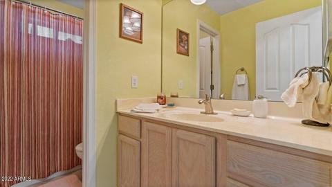 11438 E Dover St, Mesa, AZ 85207 photo 22