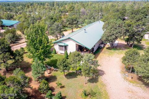 3336 Cedar Dr, Overgaard, AZ 85933 photo 22