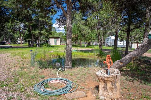 3336 Cedar Dr, Overgaard, AZ 85933 photo 28