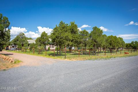 3336 Cedar Dr, Overgaard, AZ 85933 photo 35
