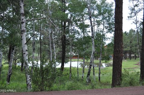 96 Crn 1330 -- #11, Greer, AZ 85927