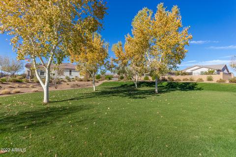 10539 E Tiburon Ave, Mesa, AZ 85212 photo 53