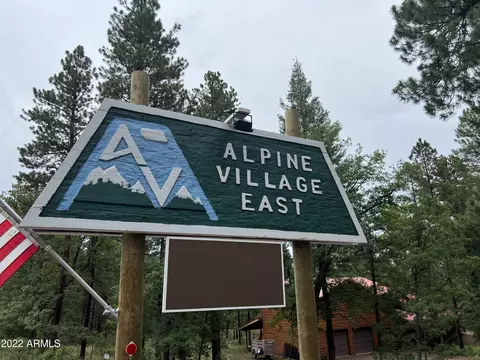 20 County Road 2067 -- #114, Alpine, AZ 85920